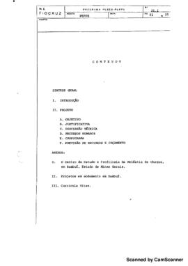 Relat&oacute;rio sobre o programa Peppe