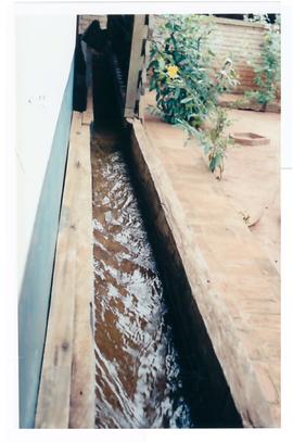 Pesquisa Mundial de Sa&uacute;de -  Campo Grande/MS