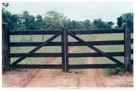 Pesquisa Mundial de Sa&uacute;de -  Campo Grande/MS