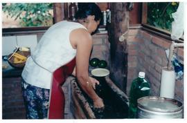 Pesquisa Mundial de Sa&uacute;de -  Campo Grande/MS