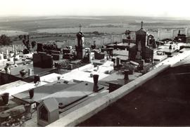 Campanha de combate &agrave; dengue - Cemit&eacute;rio de Altin&oacute;polis/SP