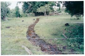 Pesquisa Mundial de Sa&uacute;de -  Campo Grande/MS