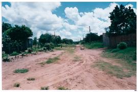 Pesquisa Mundial de Sa&uacute;de -  Campo Grande/MS (Bairro Nova Lima)