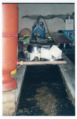 Pesquisa Mundial de Sa&uacute;de -  Campo Grande/MS