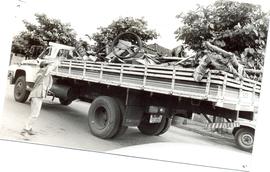 Campanha de combate &agrave; dengue em Ribeir&atilde;o Preto/SP