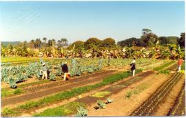 Hospital Psiqui&aacute;trico em Casa Branca/SP