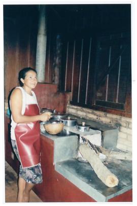 Pesquisa Mundial de Sa&uacute;de -  Campo Grande/MS