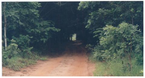 Open original digital objects